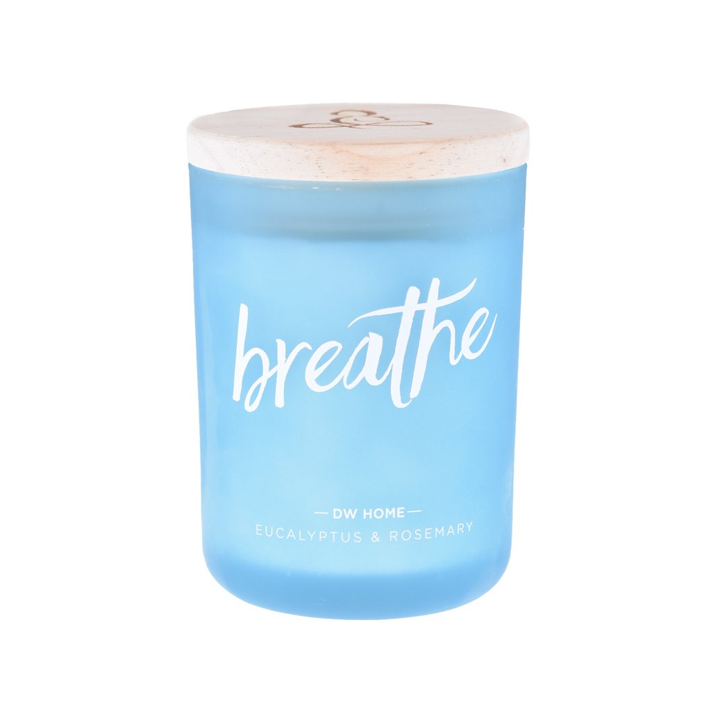 DW Home Zen Premium Fragrance Collection Large Double Wick Glass Jar Candles - Various Scents - Aura In Pink Inc.