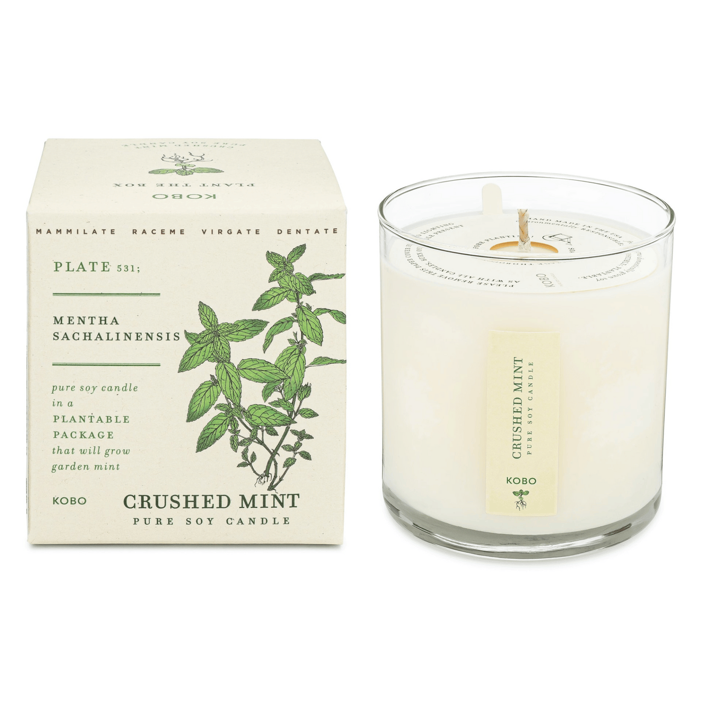 KOBO Crushed Mint Plant the Box Candle (9 oz) #10070596