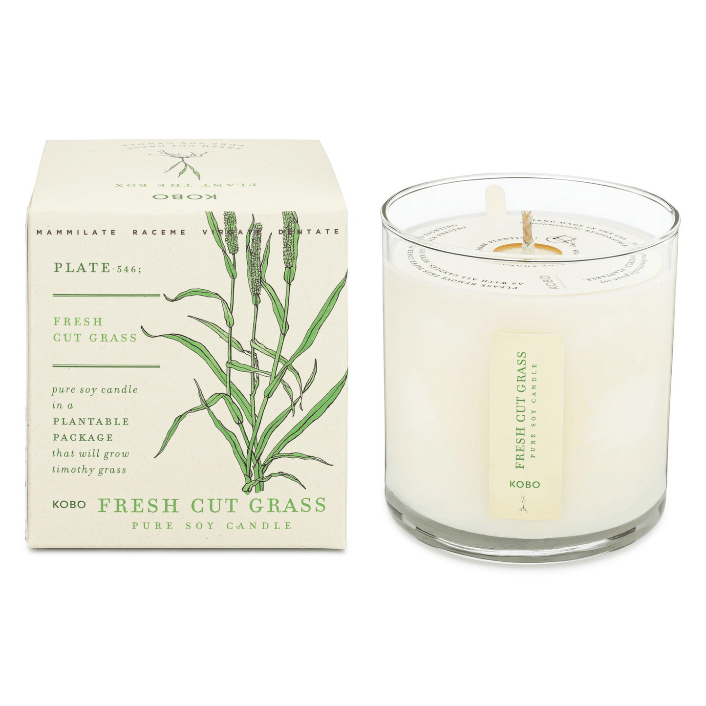 KOBO Fresh Cut Grass Plant the Box Candle (9 oz) #10068952
