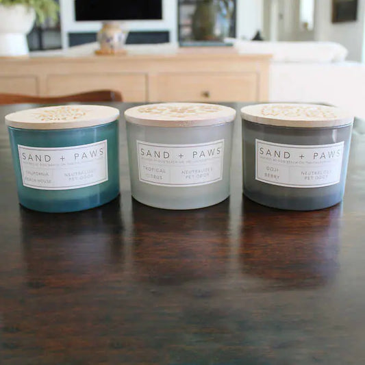 Sand + Paws Scented 12 oz. Candles – Set of 3