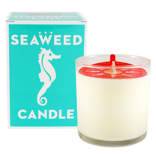 Kala Seaweed Candle (10 oz) #10076381