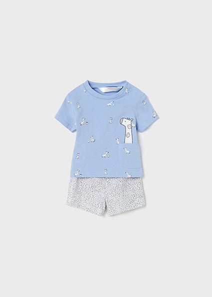 4 PC Boys Playset Giraffe Blue