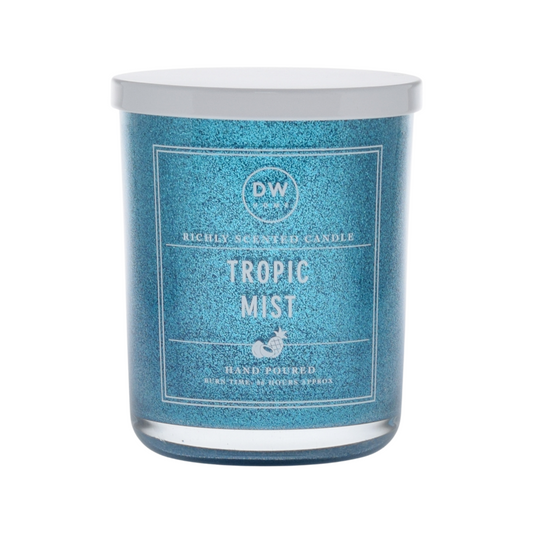 <transcy>DW Home浓郁香气和手工倒入玻璃罐装蜡烛的蜡烛（带盖）-各种香气</transcy>