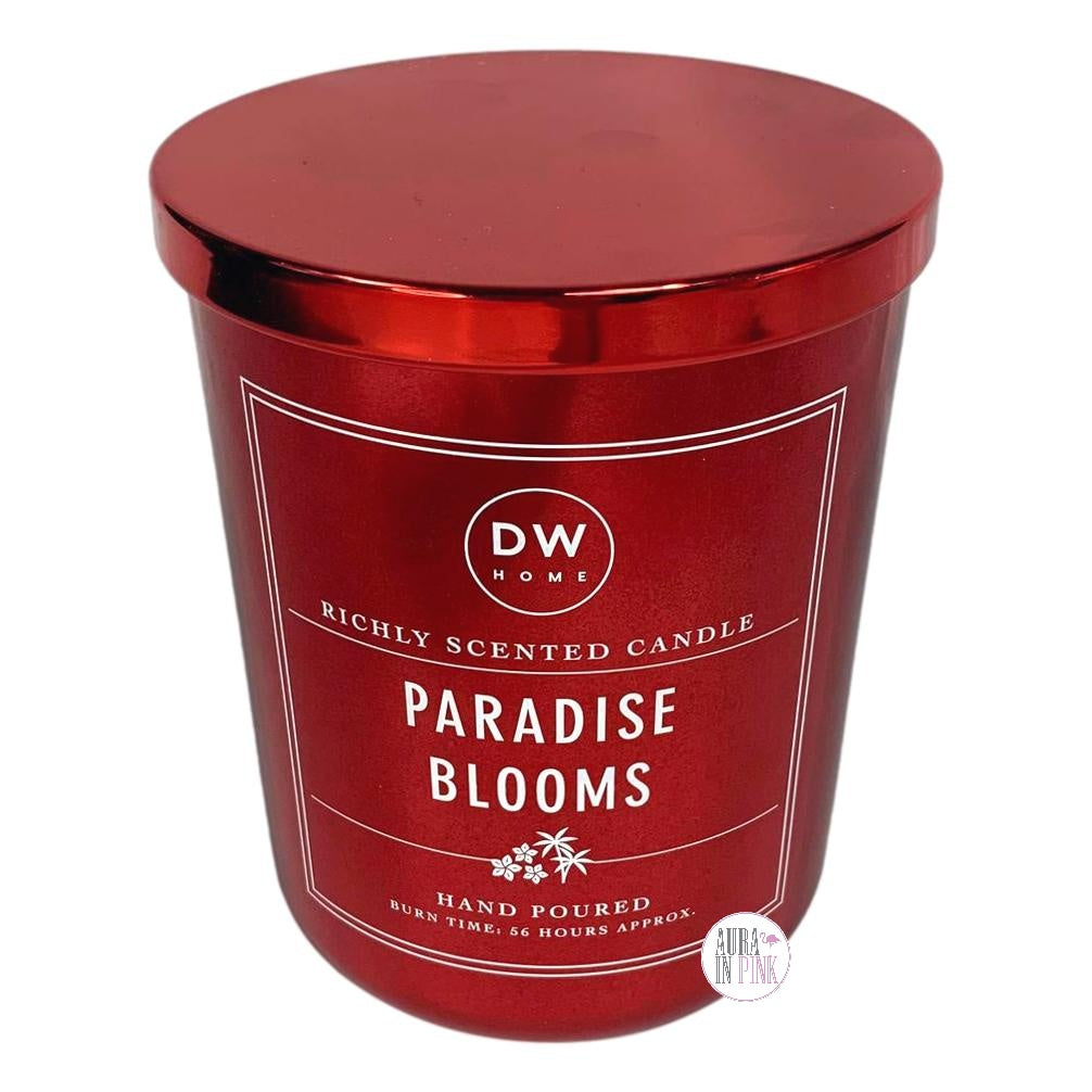 <transcy>DW Home浓郁香气和手工倒入玻璃罐装蜡烛的蜡烛（带盖）-各种香气</transcy>