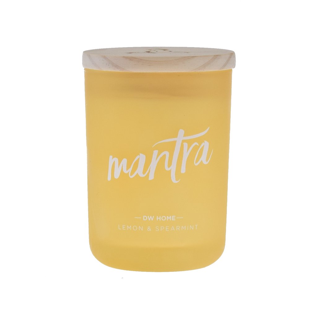 DW Home Zen Premium Fragrance Collection Large Double Wick Glass Jar Candles -  Various Scents - Aura In Pink Inc.