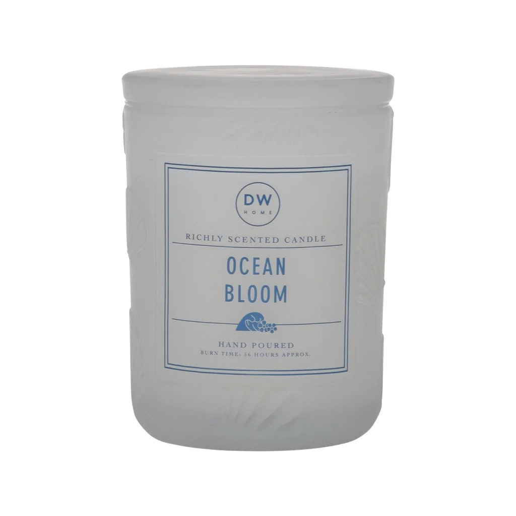 DW Home Summer Collection Large Double Wick Richly Scented & Hand Poured Candles in Frosted Glass Seashell Jars w/Lids - Assorted Scents - Aura In Pink Inc.