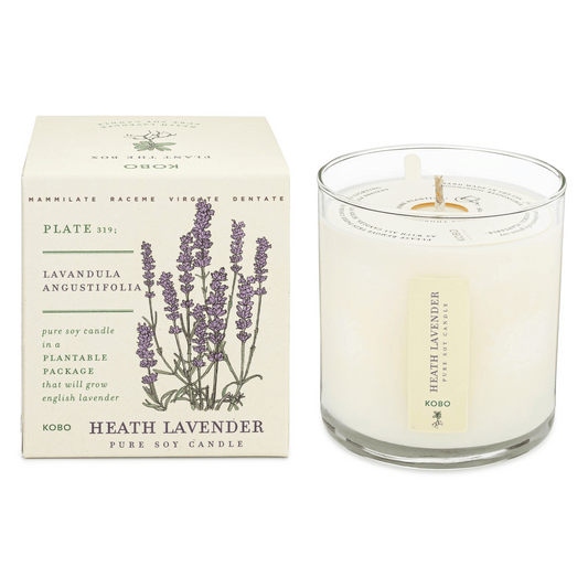 KOBO Heath Lavender Plant the Box Candle (9 oz) #10070597